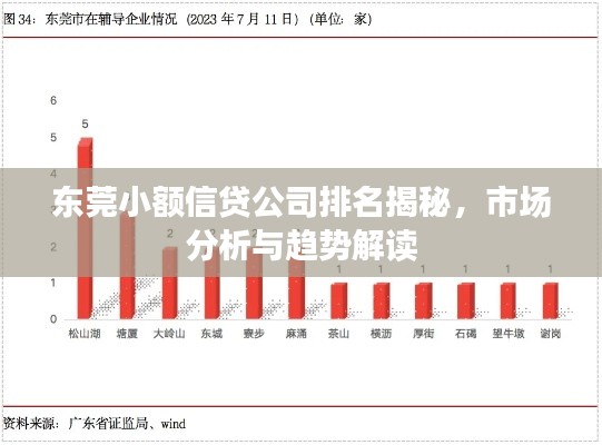 东莞小额信贷公司排名揭秘，市场分析与趋势解读