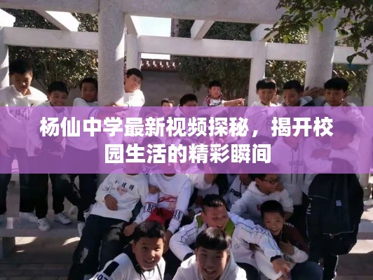 杨仙中学最新视频探秘，揭开校园生活的精彩瞬间