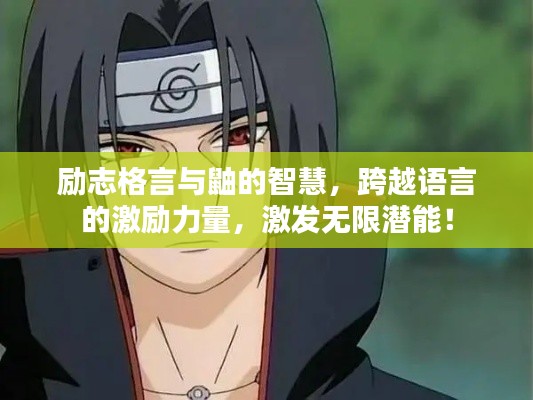 励志格言与鼬的智慧，跨越语言的激励力量，激发无限潜能！