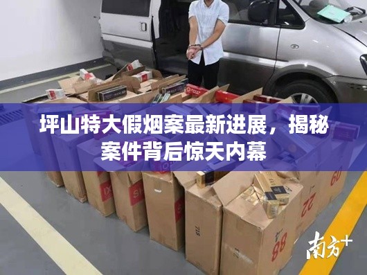 坪山特大假烟案最新进展，揭秘案件背后惊天内幕