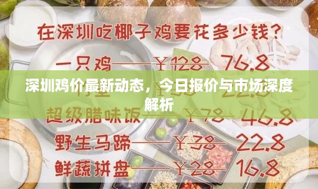 深圳鸡价最新动态，今日报价与市场深度解析