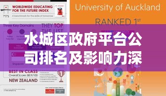 水城区政府平台公司排名及影响力深度解析