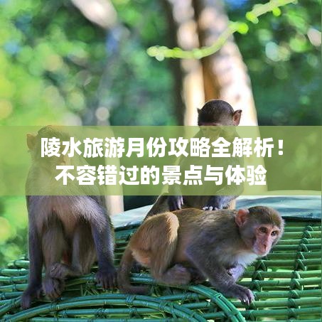 陵水旅游月份攻略全解析！不容错过的景点与体验