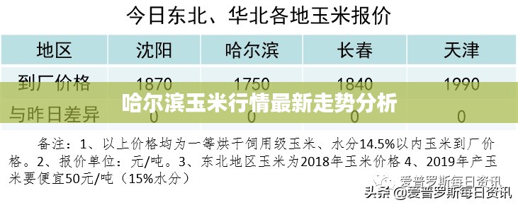 哈尔滨玉米行情最新走势分析