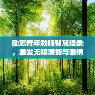 励志青年教师智慧语录，激发无限潜能与激情