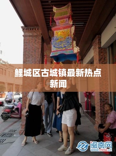鲤城区古城镇最新热点新闻