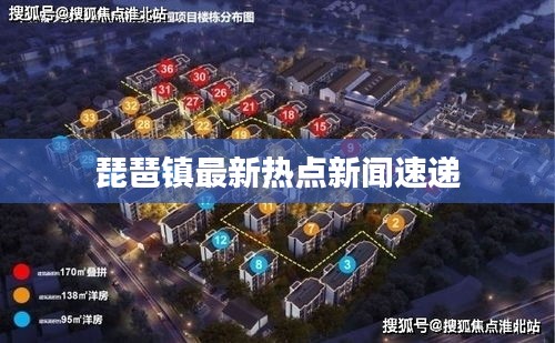 琵琶镇最新热点新闻速递