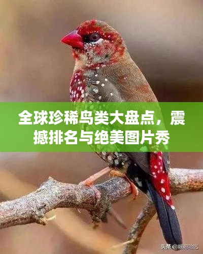 2025年6月27日