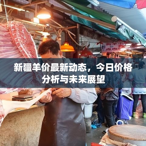 新疆羊价最新动态，今日价格分析与未来展望