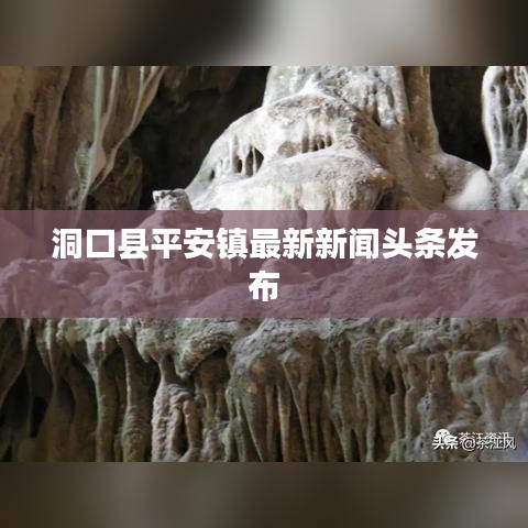 洞口县平安镇最新新闻头条发布