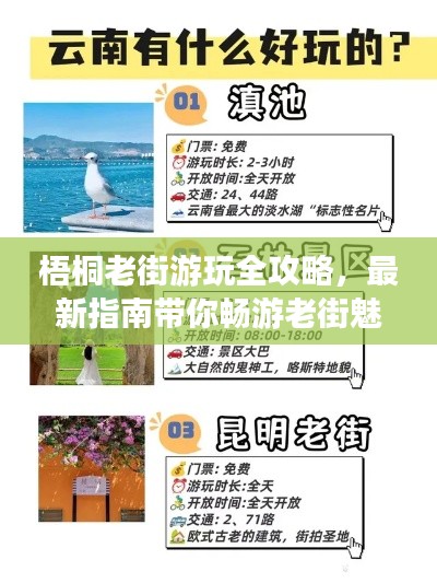梧桐老街游玩全攻略，最新指南带你畅游老街魅力！