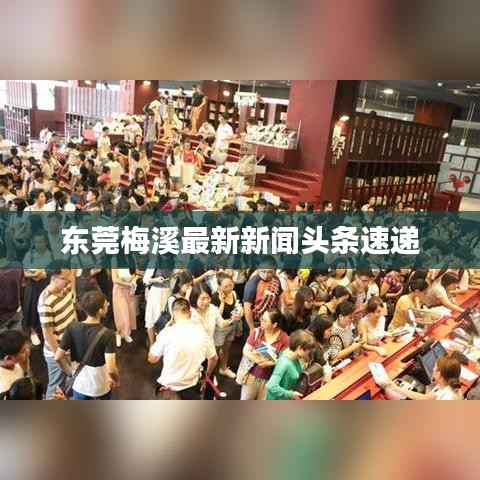 2025年7月16日 第2页