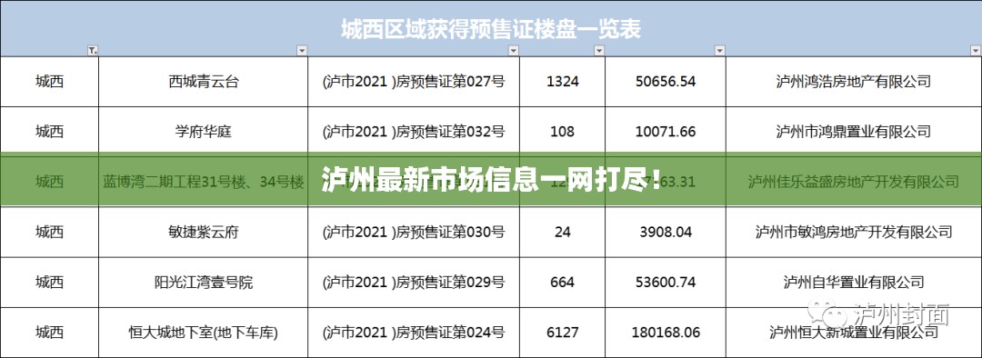 泸州最新市场信息一网打尽!