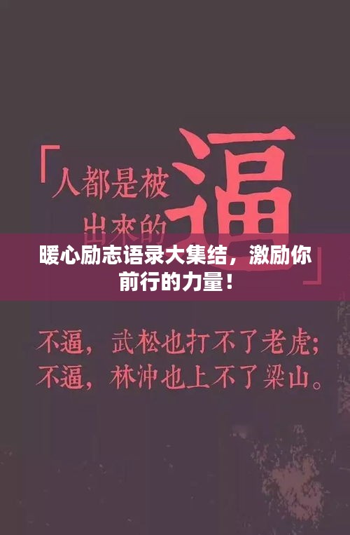 暖心励志语录大集结，激励你前行的力量！