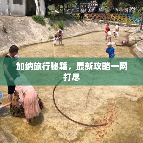 加纳旅行秘籍，最新攻略一网打尽