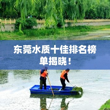 东莞水质十佳排名榜单揭晓！
