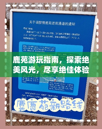 鹿苑游玩指南，探索绝美风光，尽享绝佳体验！