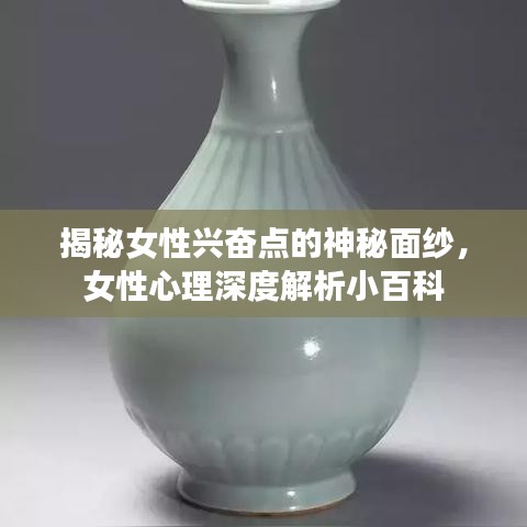 揭秘女性兴奋点的神秘面纱，女性心理深度解析小百科
