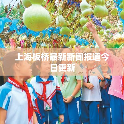 上海板桥最新新闻报道今日更新