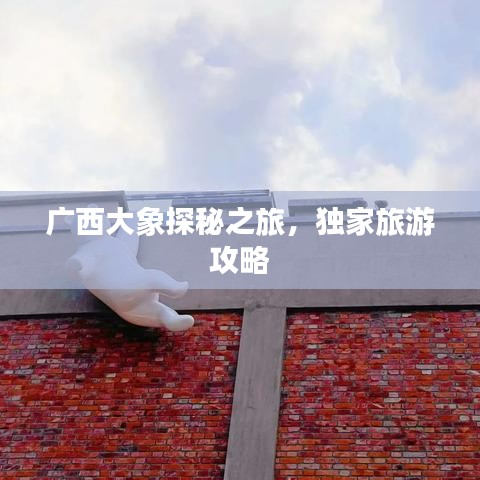 广西大象探秘之旅,独家旅游攻略