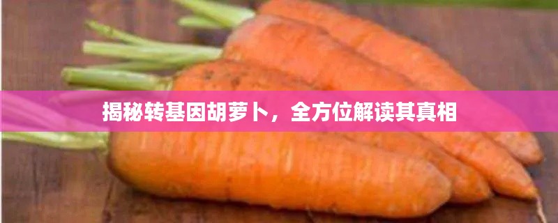 揭秘转基因胡萝卜,全方位解读其真相
