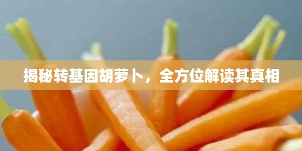 揭秘转基因胡萝卜,全方位解读其真相