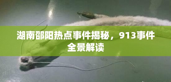 湖南邵阳热点事件揭秘,913事件全景解读