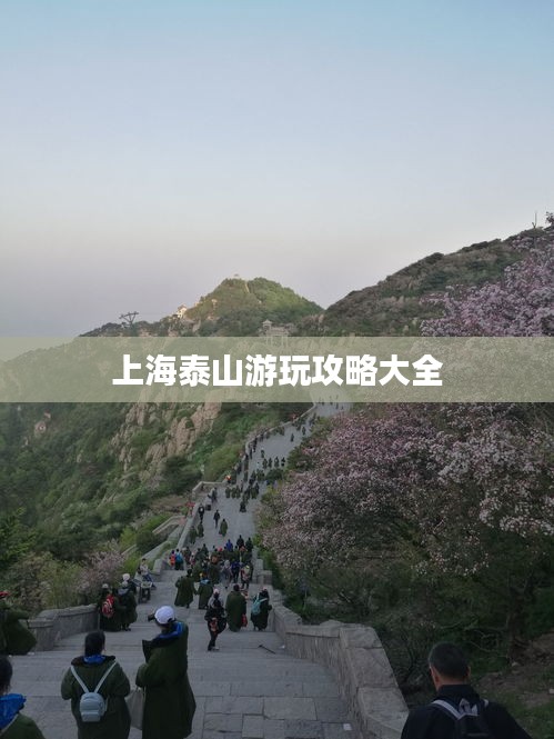 上海泰山游玩攻略大全