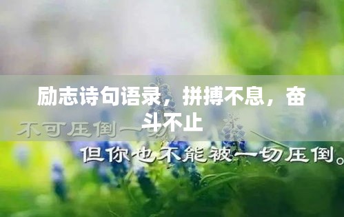 2025年7月26日 第2页