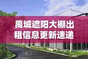 禹城遮阳大棚出租信息更新速递
