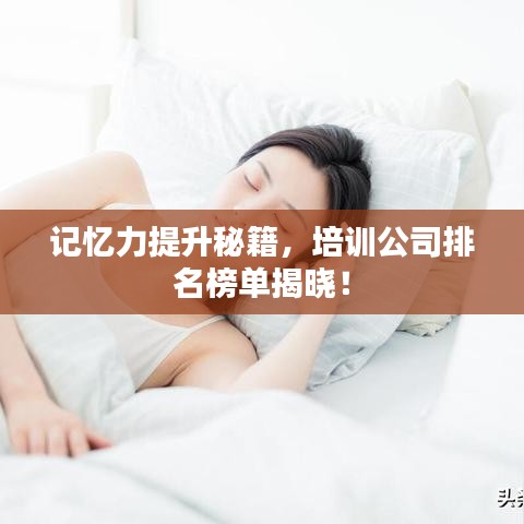 记忆力提升秘籍，培训公司排名榜单揭晓！