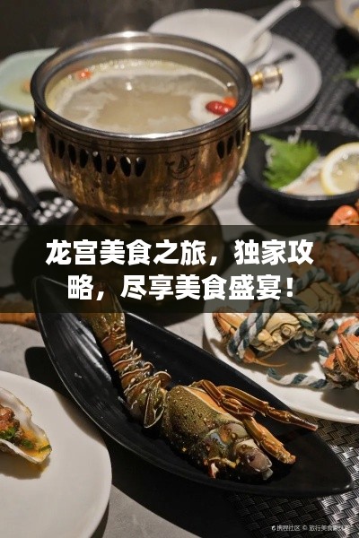 龙宫美食之旅,独家攻略,尽享美食盛宴!