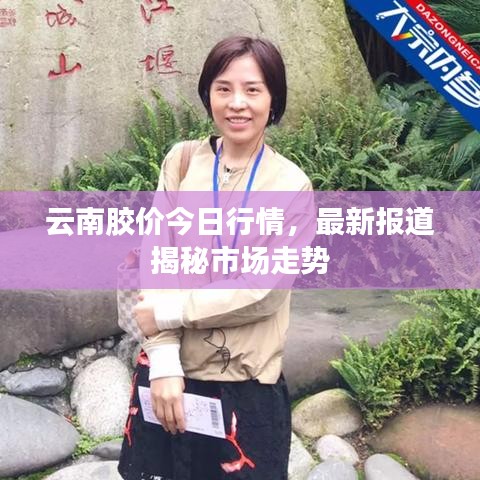 云南胶价今日行情，最新报道揭秘市场走势