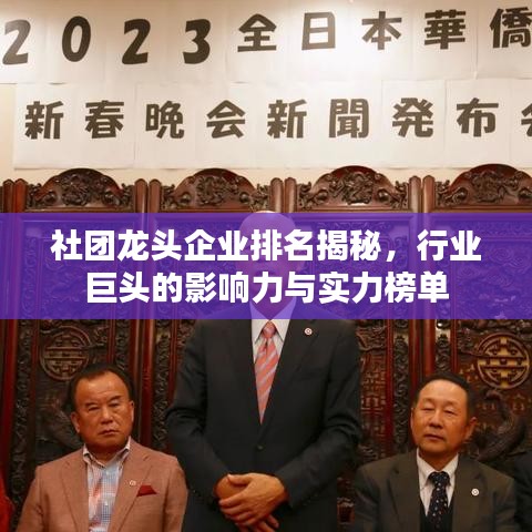 社团龙头企业排名揭秘，行业巨头的影响力与实力榜单