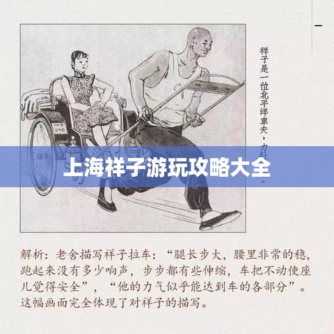上海祥子游玩攻略大全