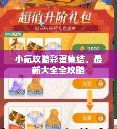 小氪攻略彩蛋集结,最新大全全攻略