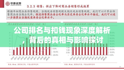 公司排名与扣钱现象深度解析,背后的真相与影响探讨