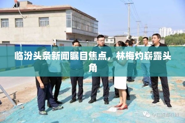 临汾头条新闻瞩目焦点，林梅灼崭露头角