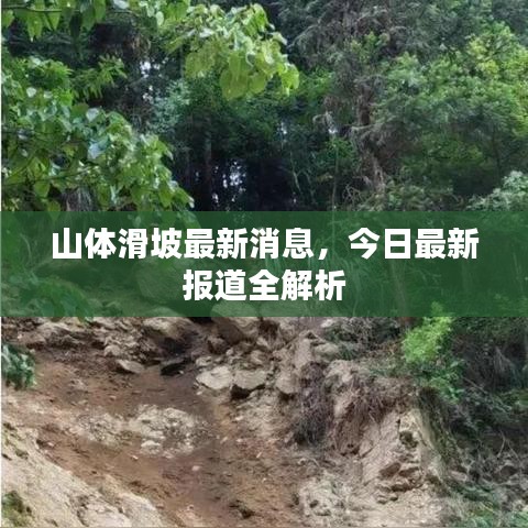 山体滑坡最新消息，今日最新报道全解析