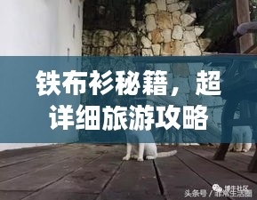 2025年8月 第58页