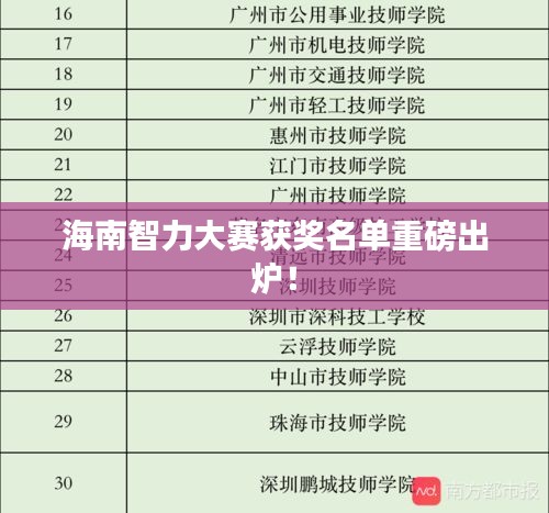 海南智力大赛获奖名单重磅出炉!