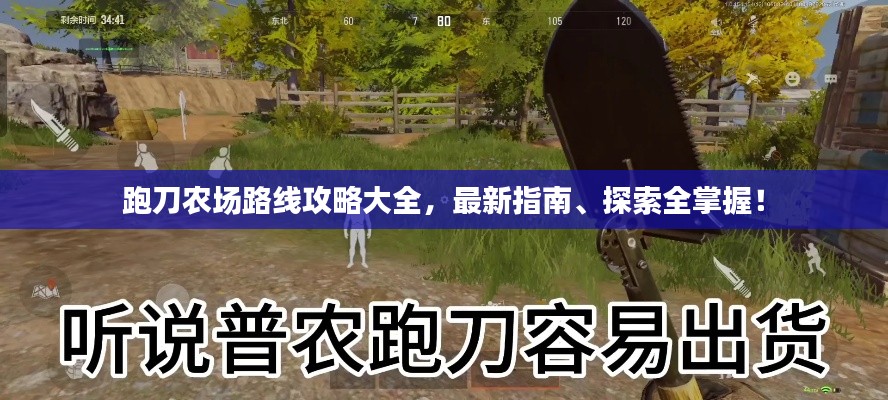 2025年8月 第56页