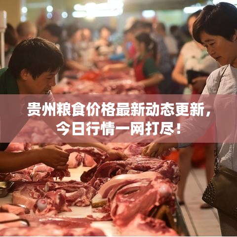 贵州粮食价格最新动态更新,今日行情一网打尽!