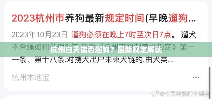 杭州白天能否遛狗?最新规定解读