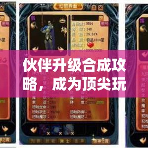 伙伴升级合成攻略,成为顶尖玩家的最新指南!