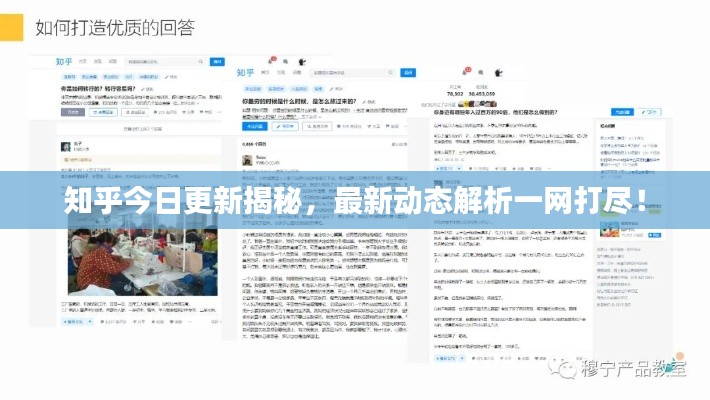 知乎今日更新揭秘,最新动态解析一网打尽!