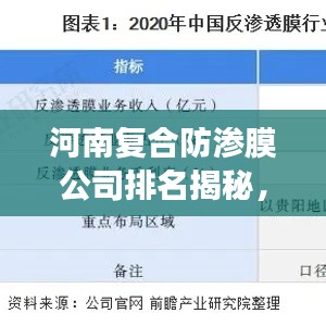 河南复合防渗膜公司排名揭秘,行业深度分析与前景展望