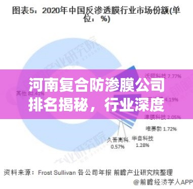 河南复合防渗膜公司排名揭秘,行业深度分析与前景展望