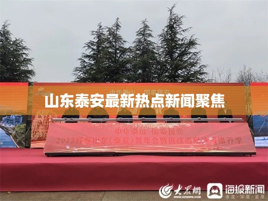 山东泰安最新热点新闻聚焦