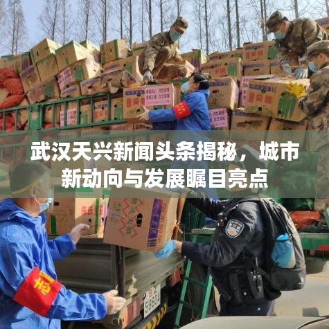武汉天兴新闻头条揭秘,城市新动向与发展瞩目亮点